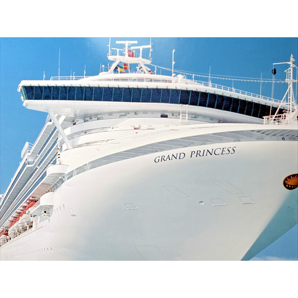 Grand Princess Cruise Ship Photo Poster Vintage 36" Caribbean Galveston Port EUC - Picture 4 of 10